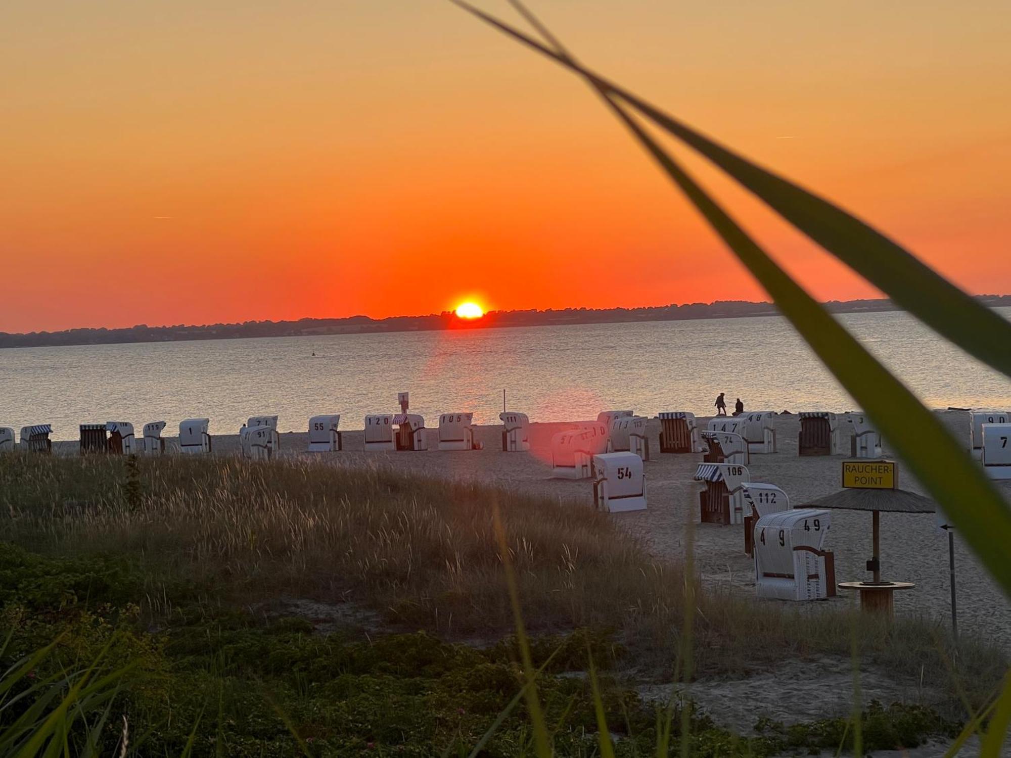 Neue Ferienwohnung An Der Ostsee,Terrasse,Sauna Surendorf Extérieur photo